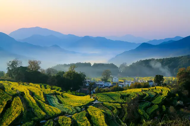 Terraced Fields Viewing in Wuyuan