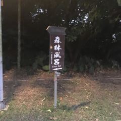 樂山溫泉拉麵(公園店) User Photo