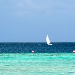 阿雅達島歡歌笑語餐廳張用戶圖片