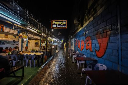 Papaya Restaurant (Indian & Thai Food)