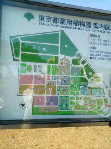 Tokyo Medicobotanical Garden Travel Guidebook Must Visit Attractions In Kodaira Tokyo Medicobotanical Garden Nearby Recommendation Trip Com