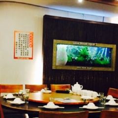 Golden Formosa User Photo