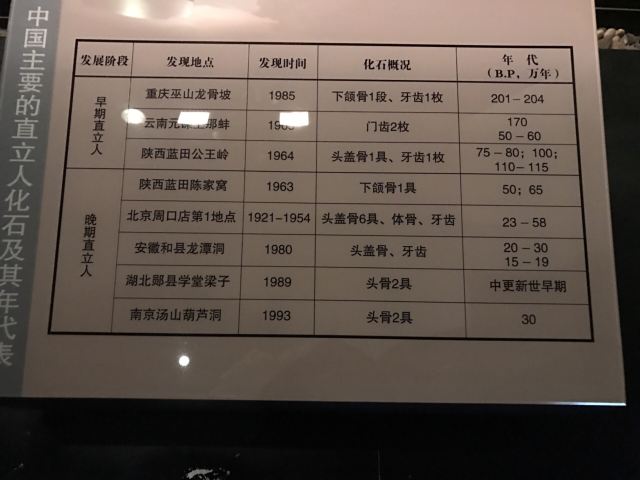 陝西曆史博物館