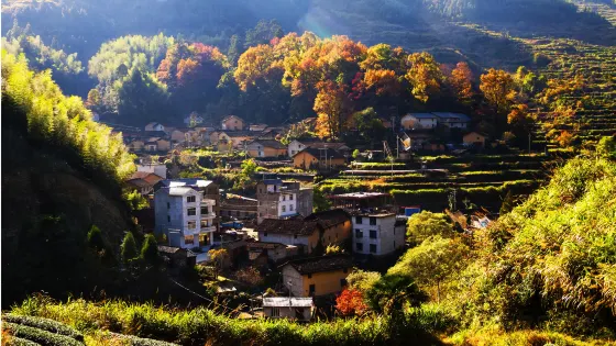 官浦垟村
