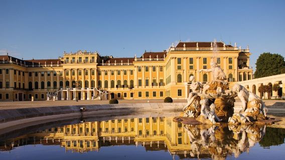 Schönbrunn Palace, Naschmarkt, Stephen's Cathedral, and Musikverein Vienna 1-day tour