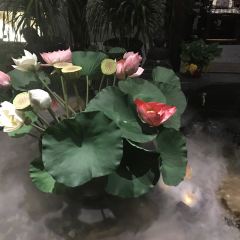 陈火锅古韵风(长白店) User Photo