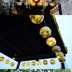 鲜龙井火锅公园(南山店) User Photo
