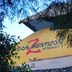 Dos Mestizos User Photo