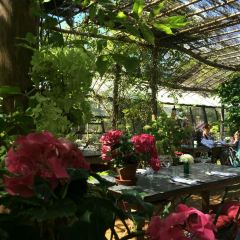 Petersham Nurseries Restaurant User Photo