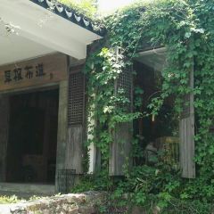 CAO GEN BU DAO User Photo