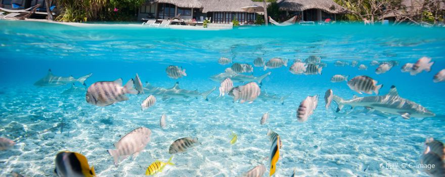 French Polynesia
