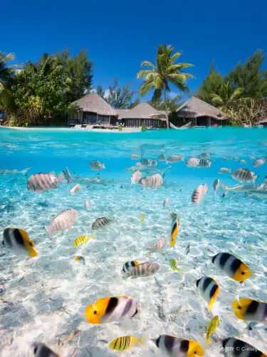 5-Star Hotels in French Polynesia