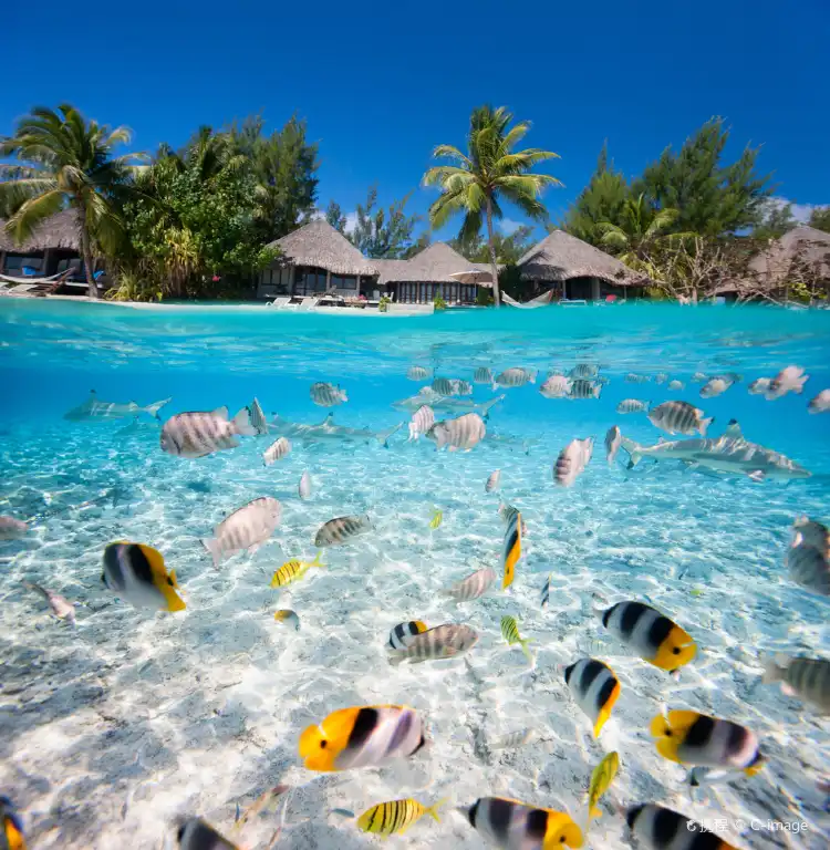 Motels in French Polynesia