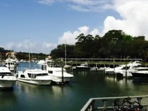 Scott's Fish Market Restaurant & Bar