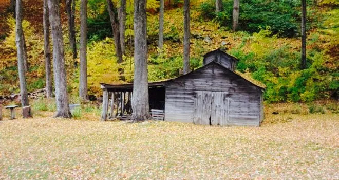 Maple Sugar & Vermont Spice