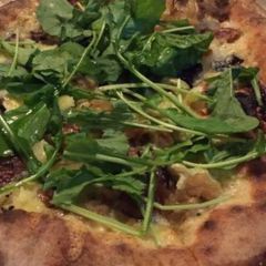 Harry's Pizzeria & Restaurant User Photo