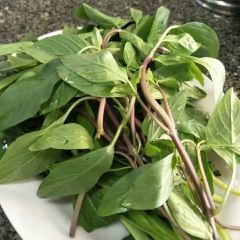 Pho Quynh User Photo