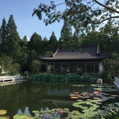 Zi Ｗei Hall User Photo