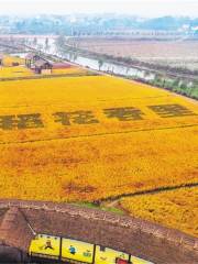 Daohua Xiangli Farming Park