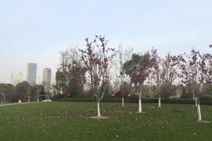 君來世尊飯店·宴會中心梅花廳