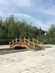 Baiyangdian Dream Water Village