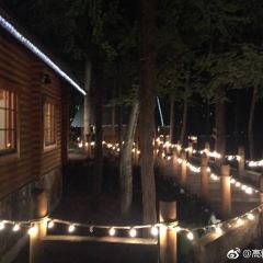 Kohi Morinotokei User Photo