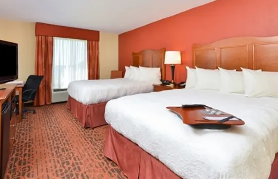 希爾頓歡朋酒店-克林頓