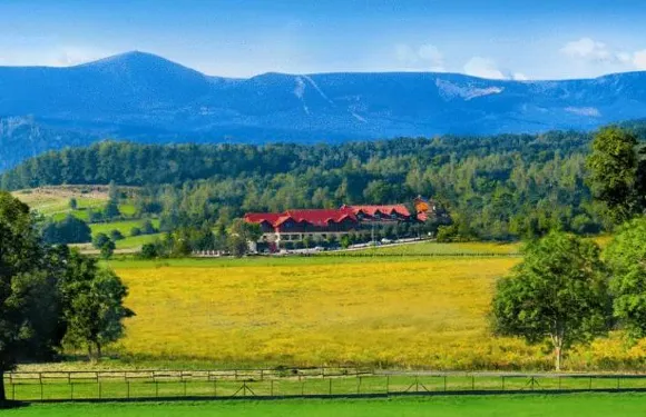 查塔扎維希亞酒店