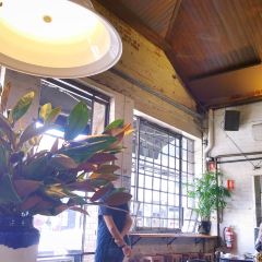 Vegie Bar User Photo