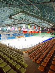 Harbin Hockey Hall