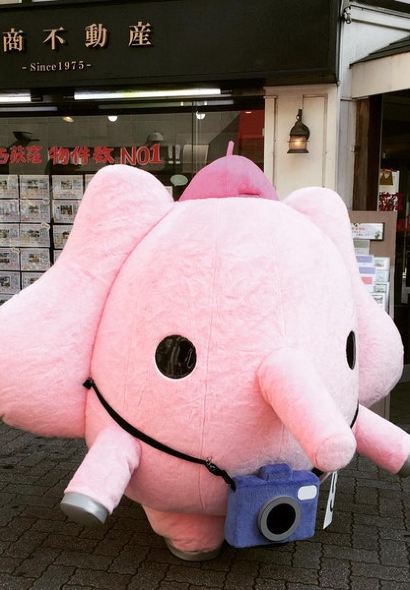 XIAO YI JIA CHAGN CAI