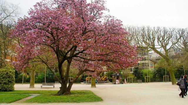 Jardin des serres d'Auteuil