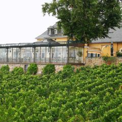 Schlossschaenke auf dem Johannisberg User Photo