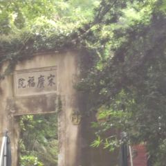 十八棵（老龙井）御茶园(老龙井店) User Photo