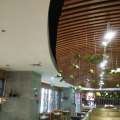 Guzhiwei (jiufang) User Photo