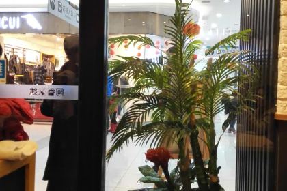 A XIANG MI XIAN JIAO ZHOU SAN LI HE DA RUN FA DIAN