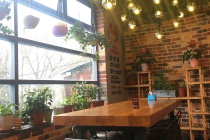 JIE DI LIA TU DOU FEN