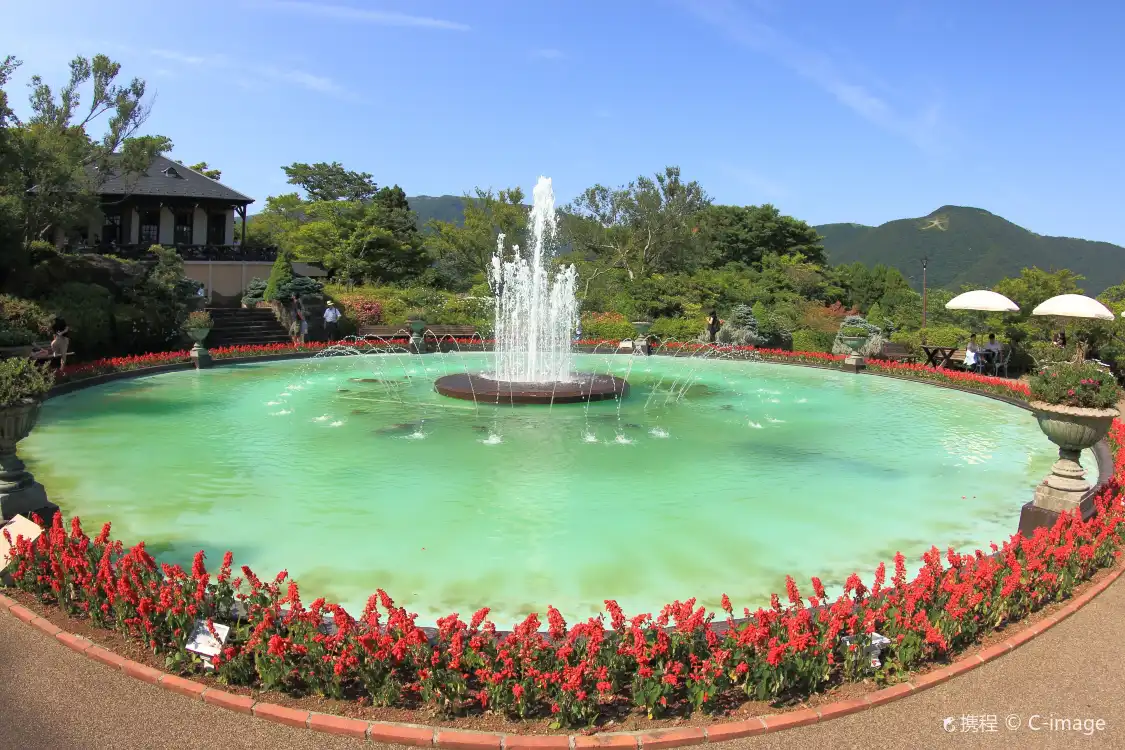 Hotel dekat Taman Gora