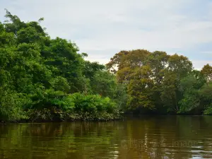 Klias Wetlands