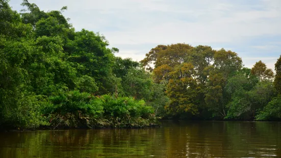 Klias Wetlands