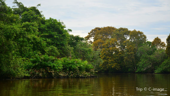 Klias Forest Reserve