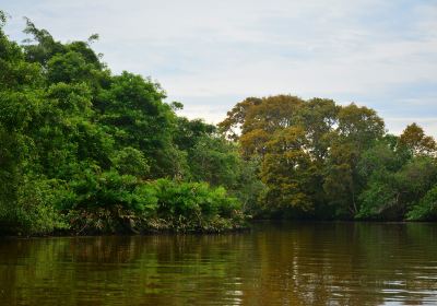 Hutan Simpan Klias