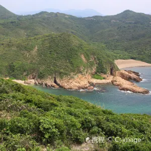 橋咀洲