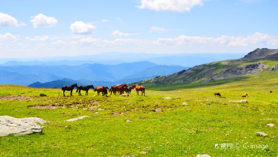 Altai Mountains