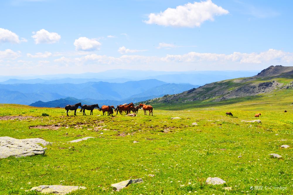 Altai Mountains