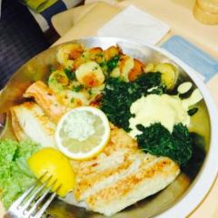 Fisch Franke User Photo