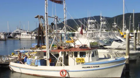 Prawn Star in Cairns