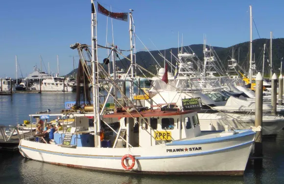Prawn Star Cairns