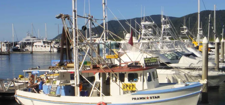 Prawn Star Cairns