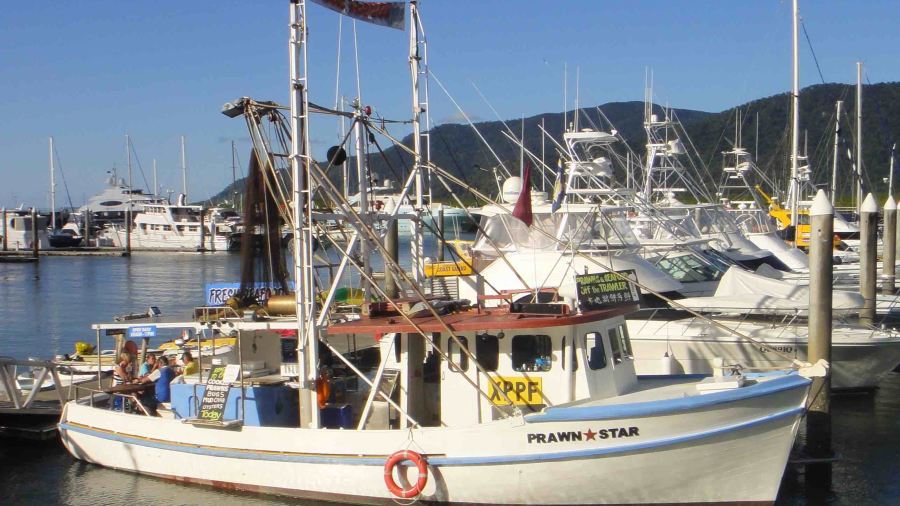 Prawn Star Cairns
